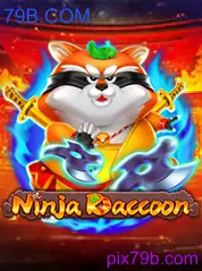 NinjaRaccoon